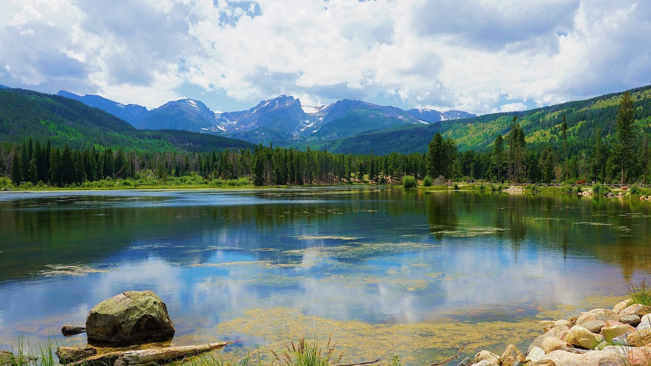 Photo of Others in Old Town