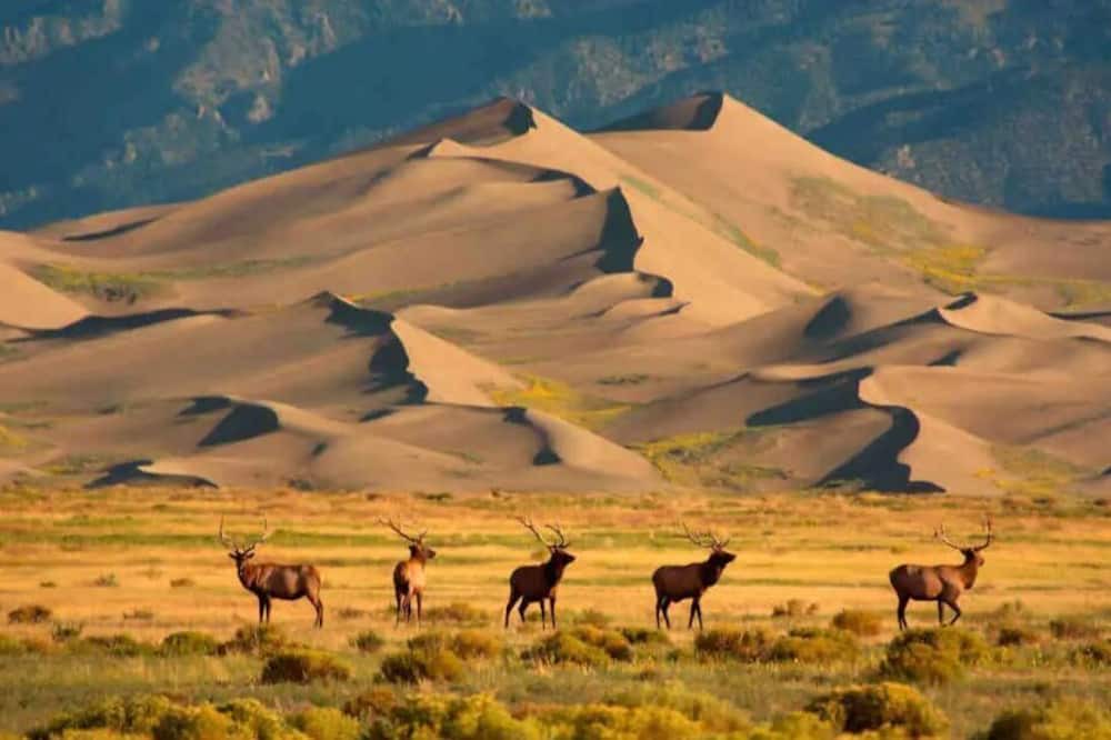 Photo of Others in Blanca