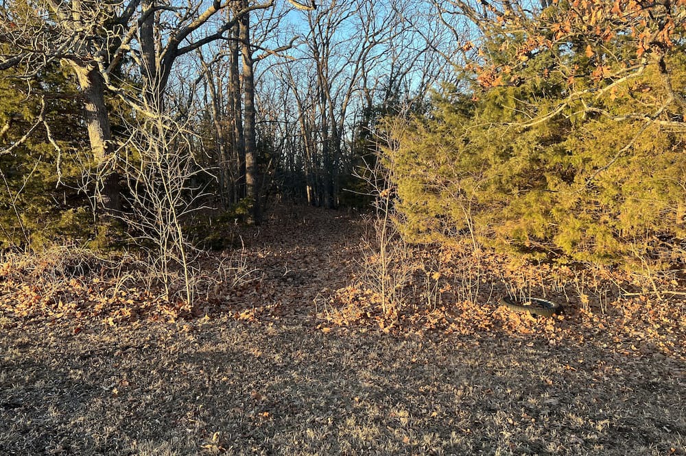 Photo of Outdoor in Neal