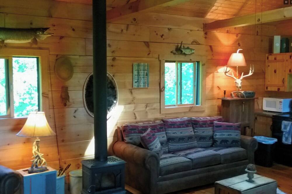 Photo of Livingroom in Waterville