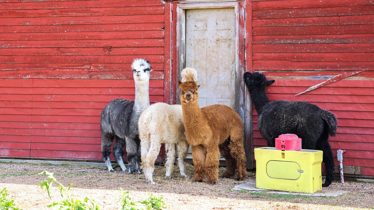 Photo of Others in Holmesville