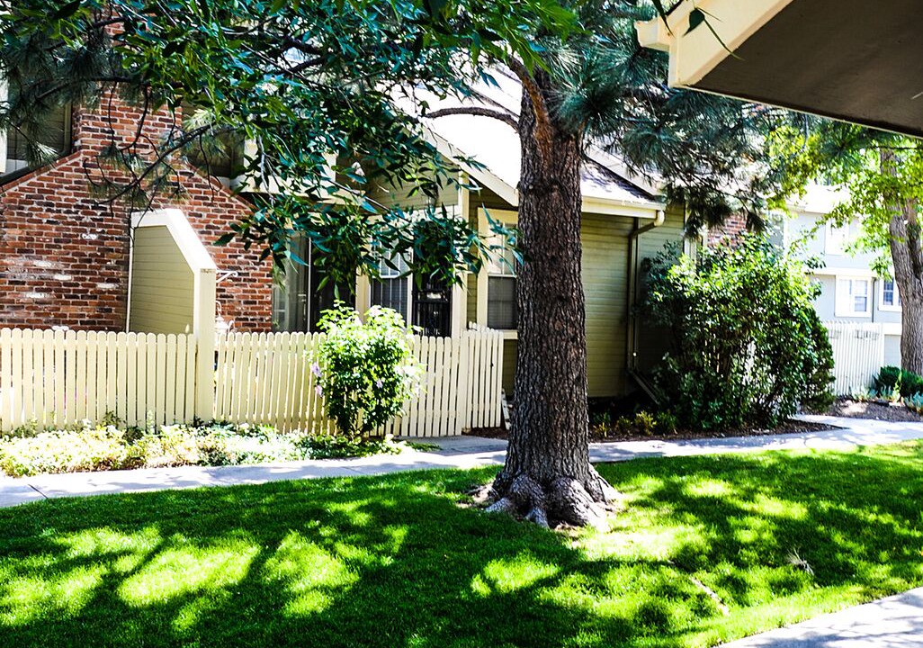 Photo of Outdoor in Willow Park