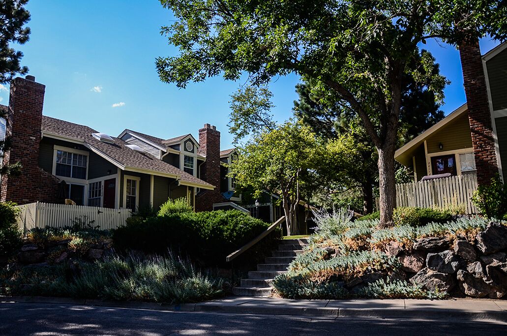 Photo of Outdoor in Willow Park