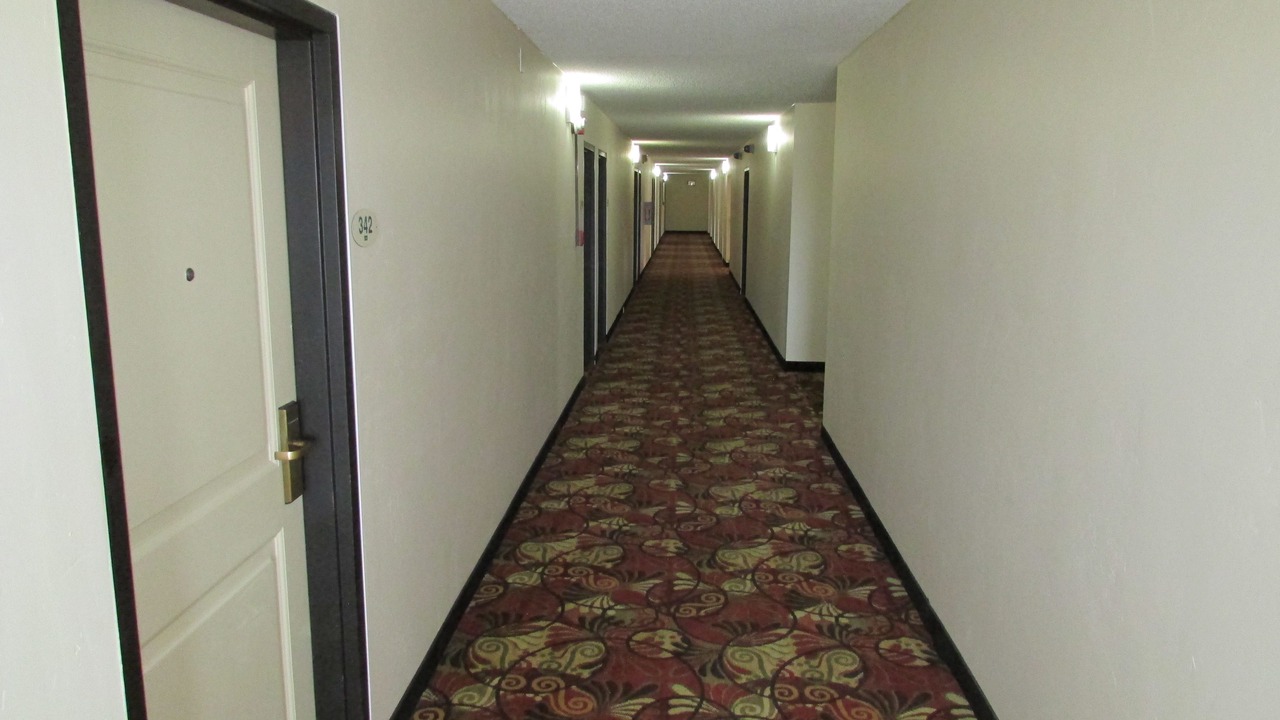 Photo of Others in Evanston