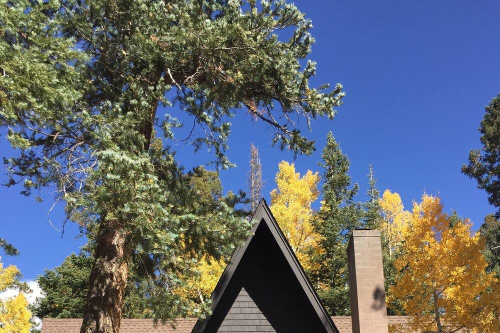 Photo of Others in Columbine Lake