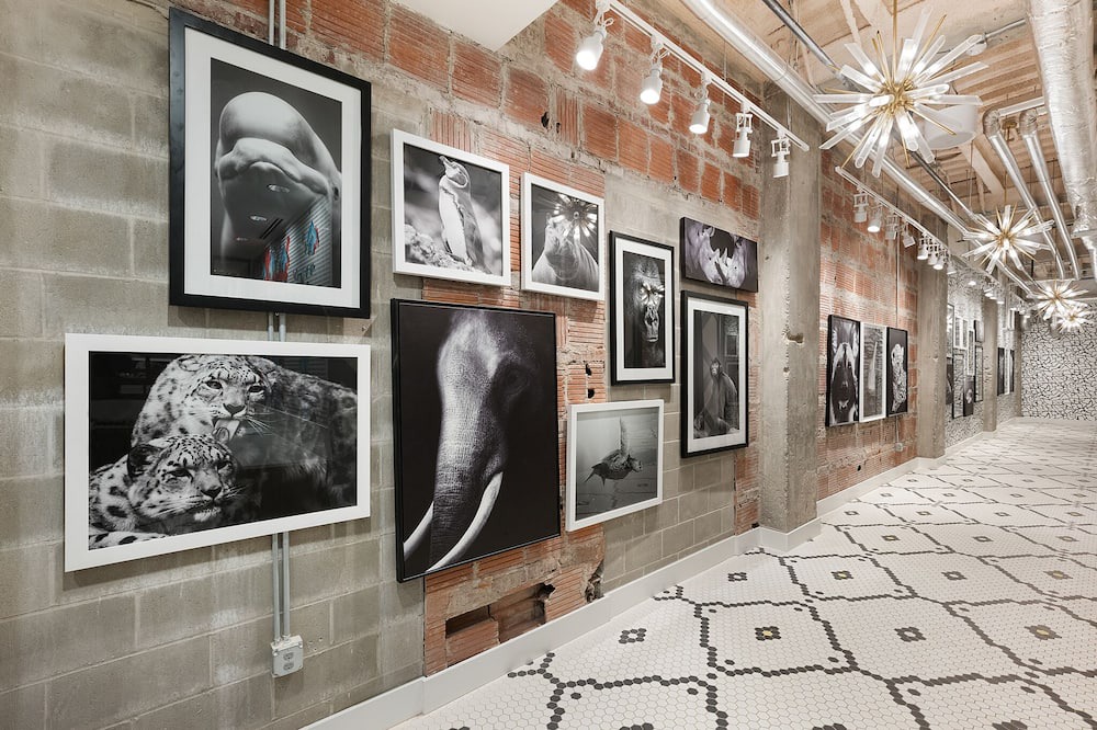 Photo of Others in Crossroads Arts District