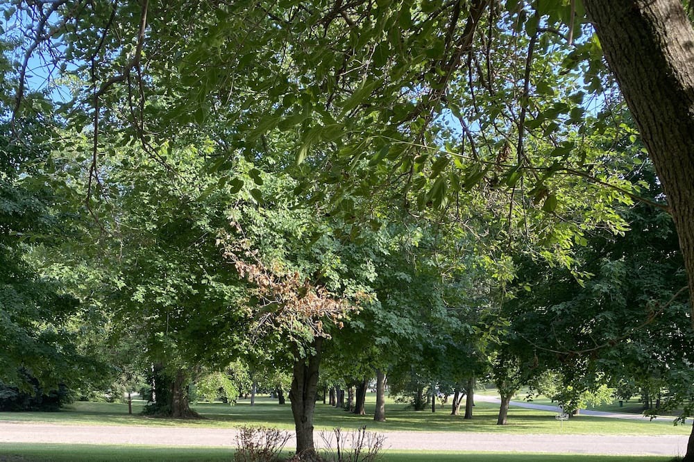 Photo of Outdoor in Wakefield