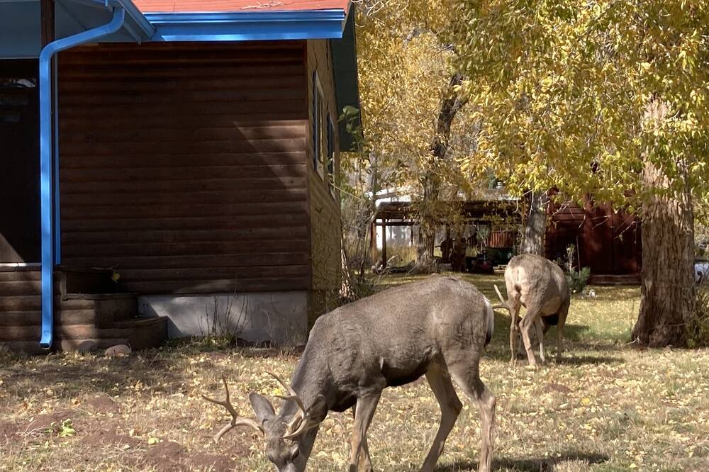 Photo of Outdoor in Weston