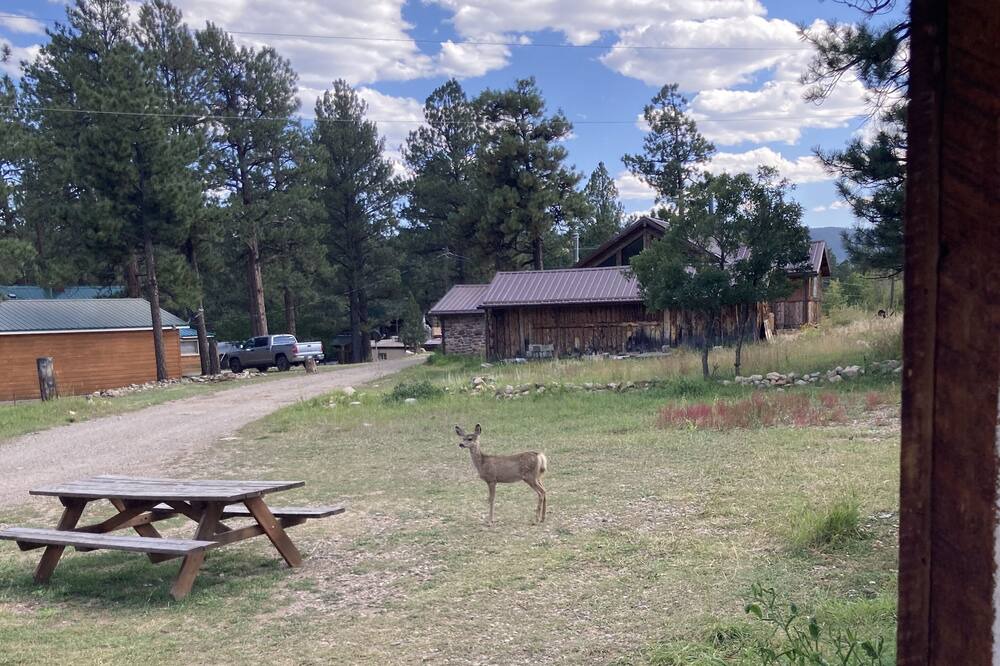 Photo of Outdoor in Weston