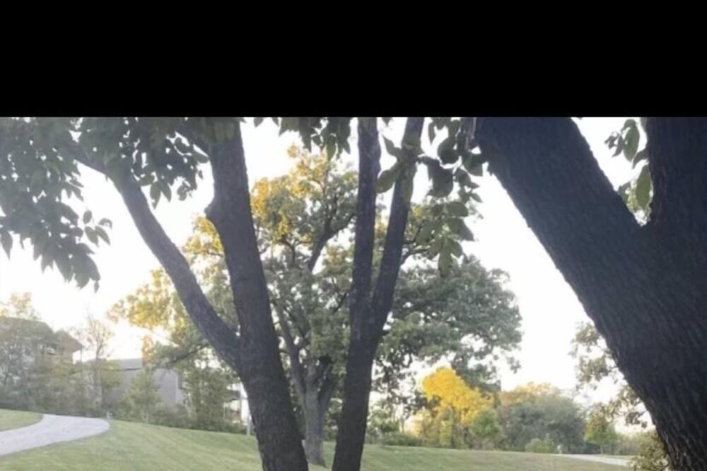 Photo of Others in Kansas City