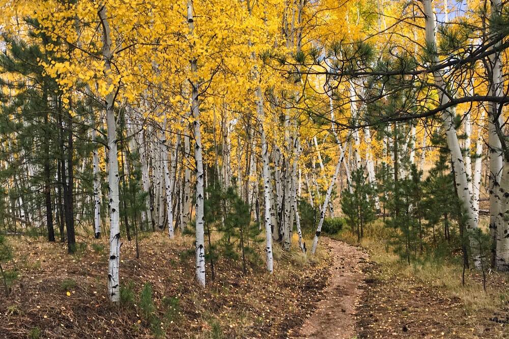 Photo of Outdoor in Lake George