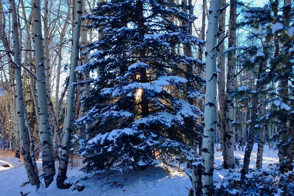 Photo of Outdoor in Lake George