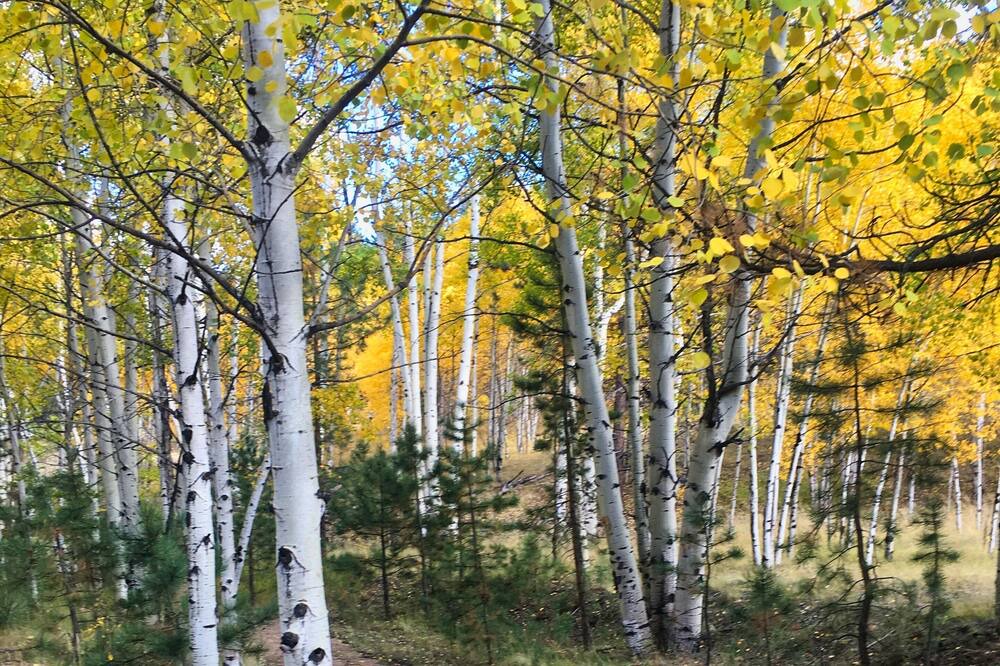 Photo of Outdoor in Lake George