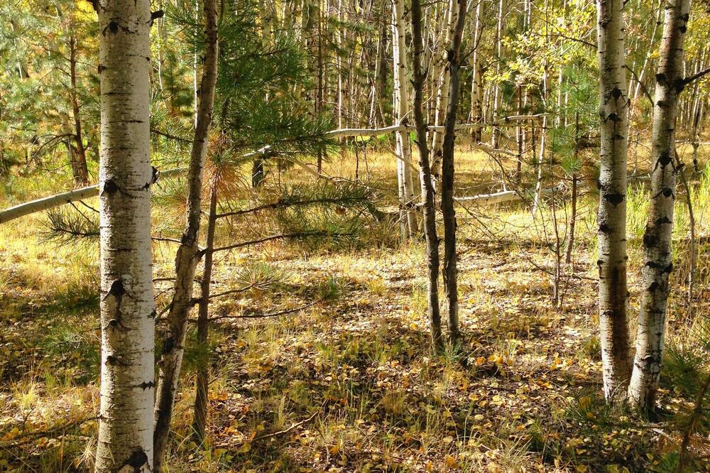Photo of Outdoor in Lake George