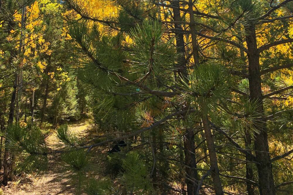 Photo of Outdoor in Lake George