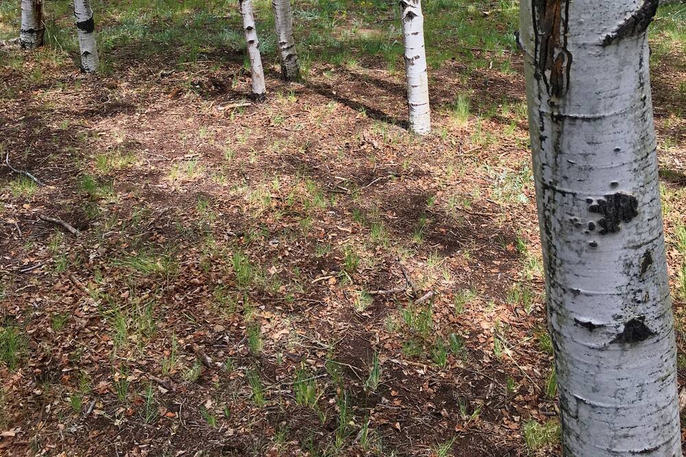 Photo of Outdoor in Lake George