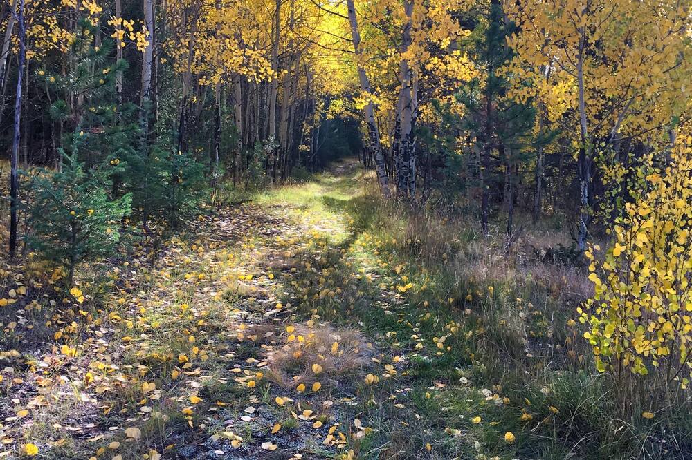 Photo of Outdoor in Lake George