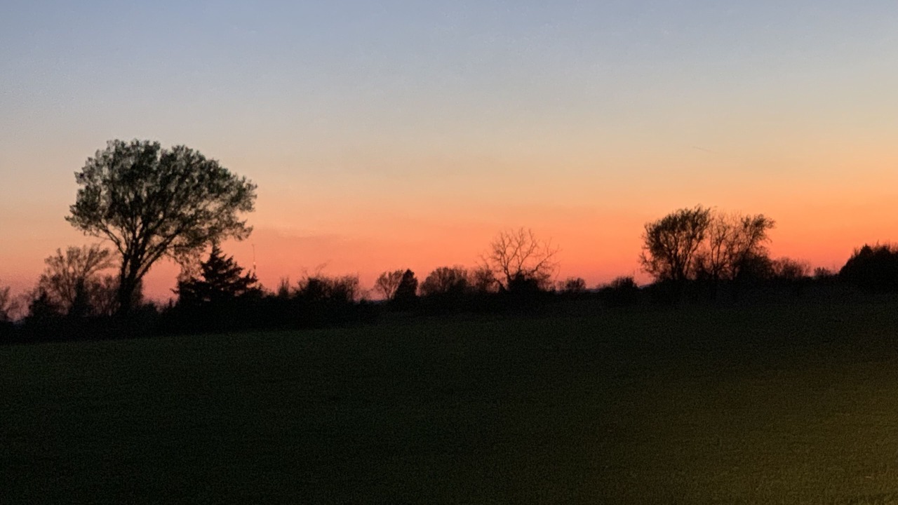 Photo of Outdoor in Sycamore