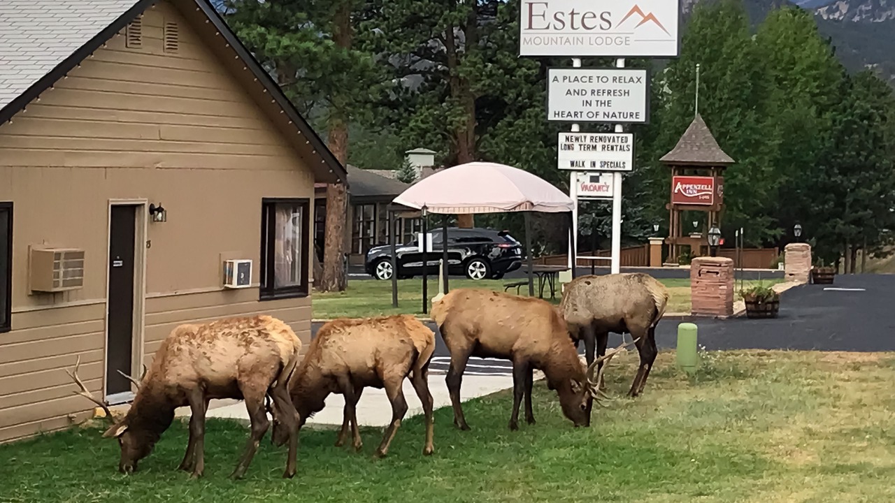 Photo of Outdoor in Estes Park
