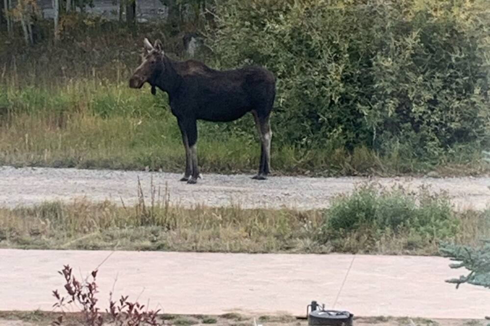 Photo of Others in Summit Cove