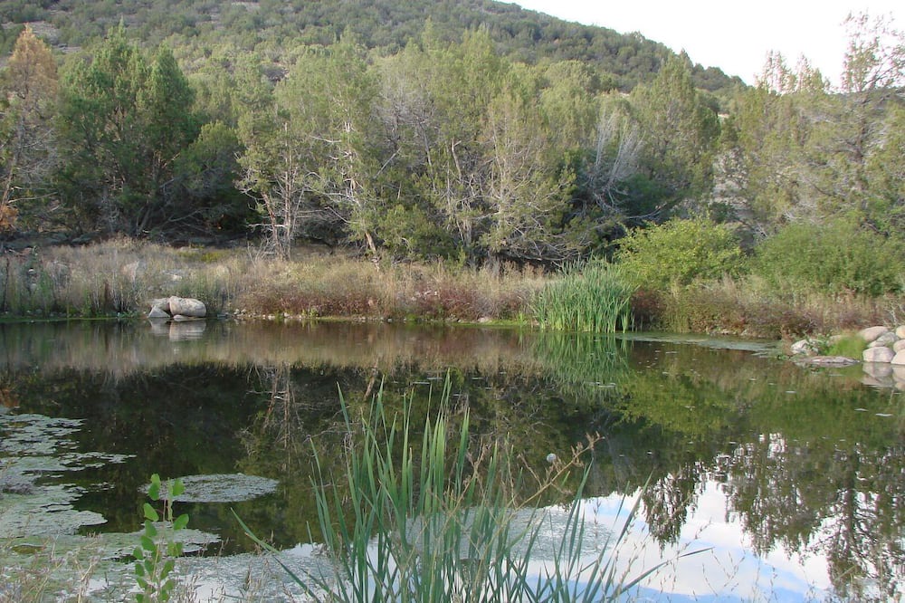 Photo of Others in Hotchkiss