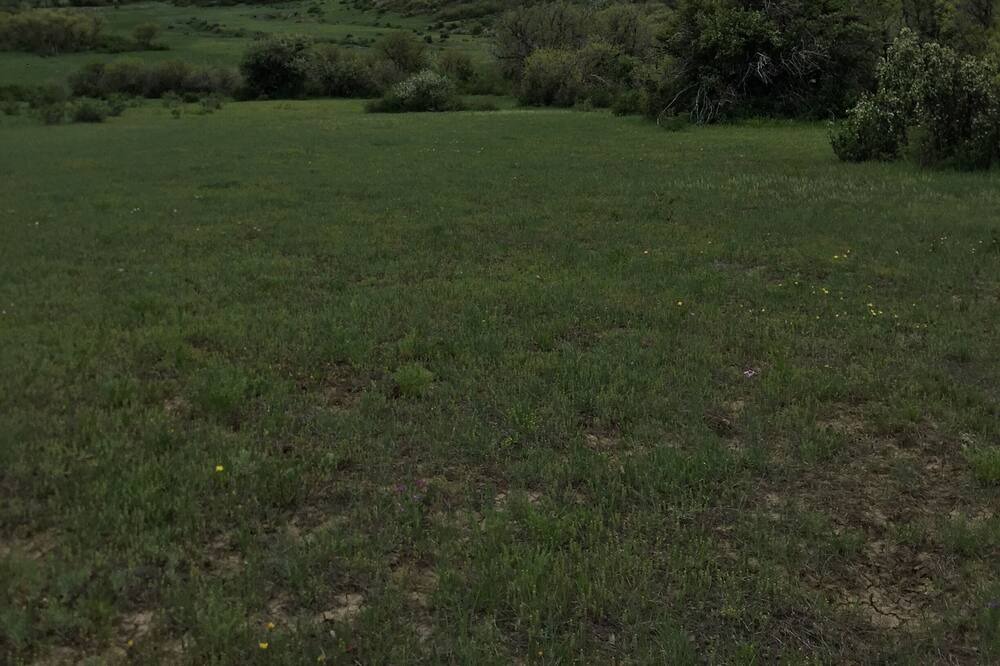 Photo of Others in Redvale