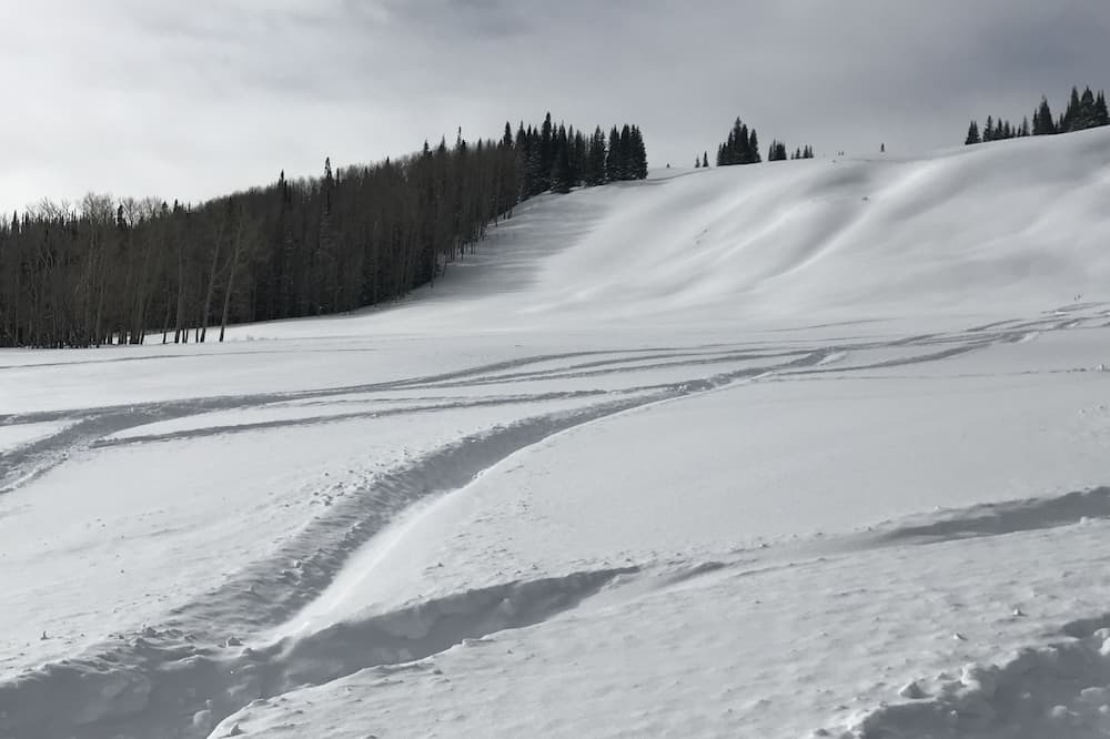 Photo of Others in Gypsum