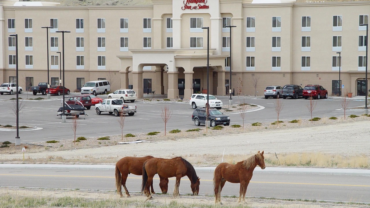 Photo of Outdoor in Green River