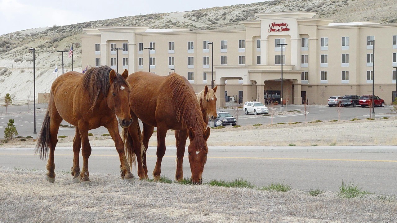 Photo of Outdoor in Green River