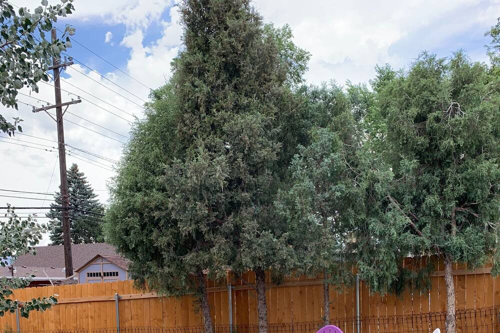 Photo of Others in Central Colorado Springs