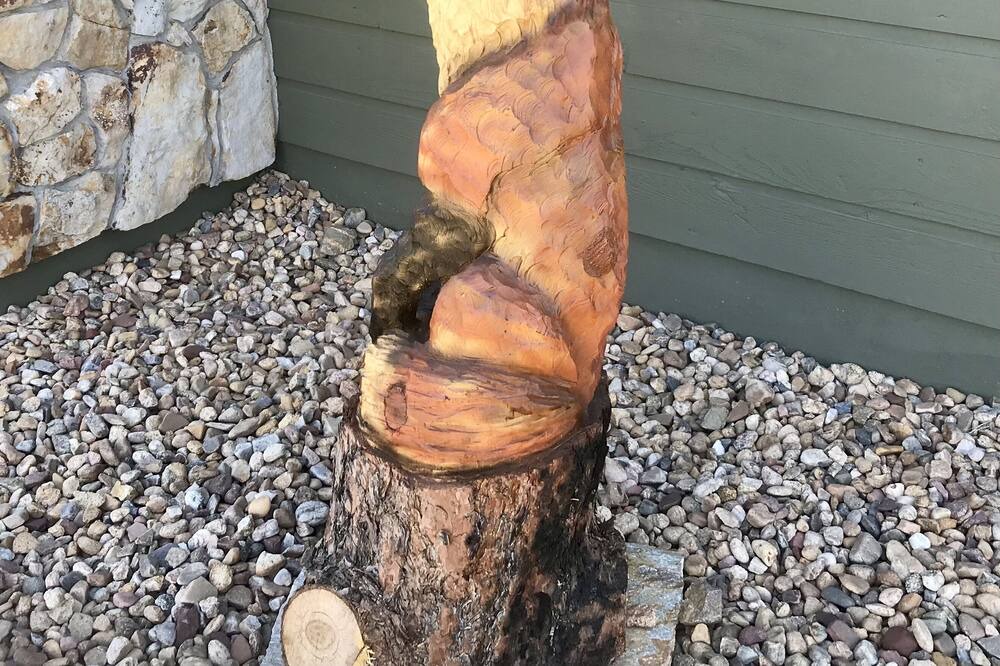 Photo of Others in Estes Park