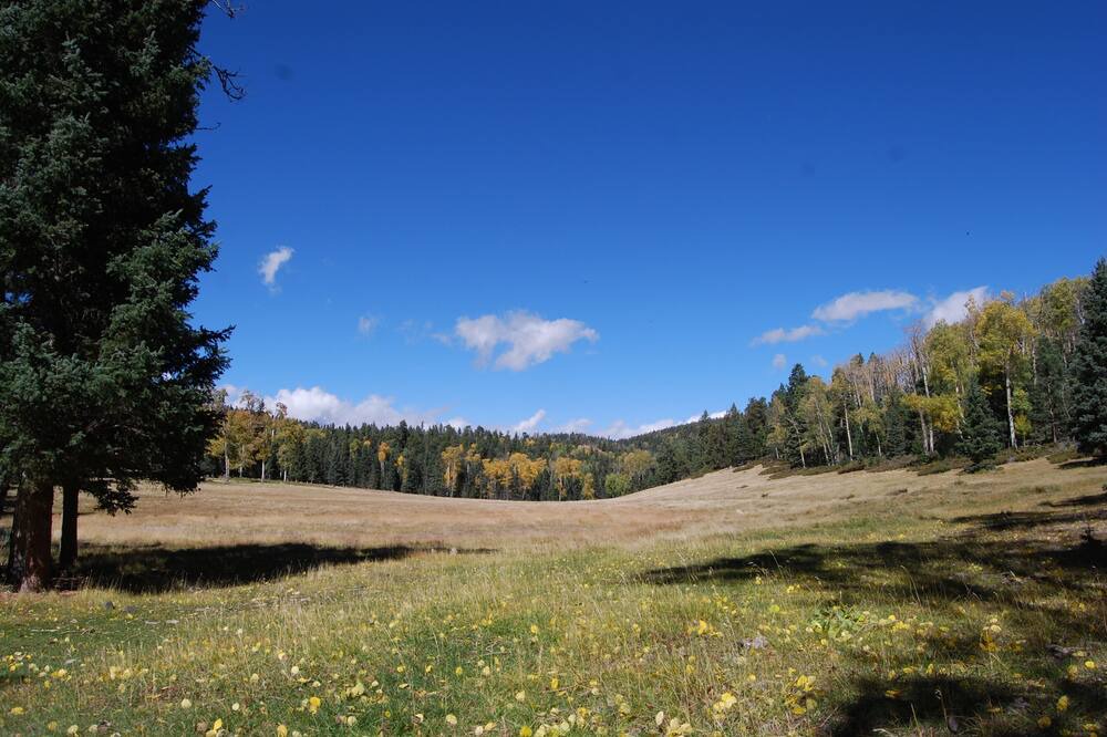 Photo of Outdoor in Amalia