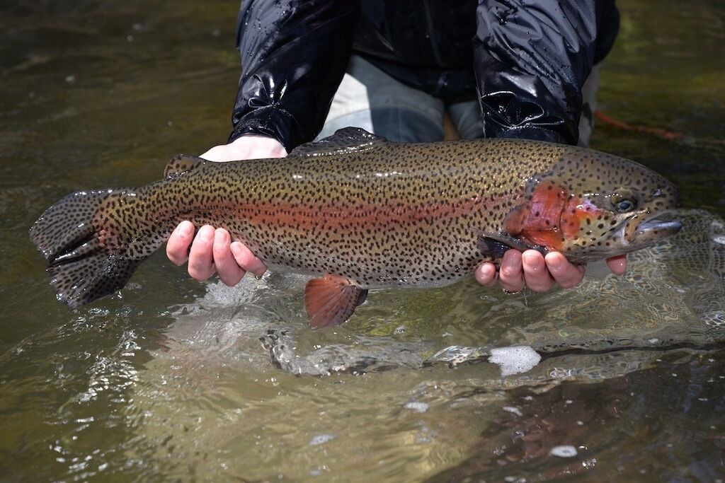 Photo of Others in Breckenridge
