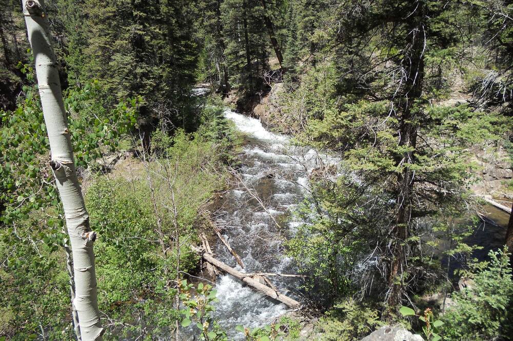 Photo of Others in Columbine Lake
