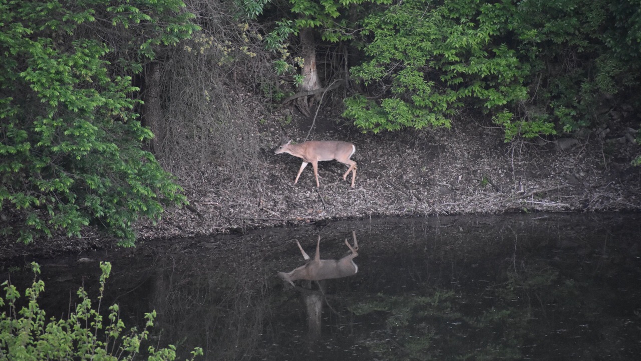 Photo of Outdoor in Manhattan