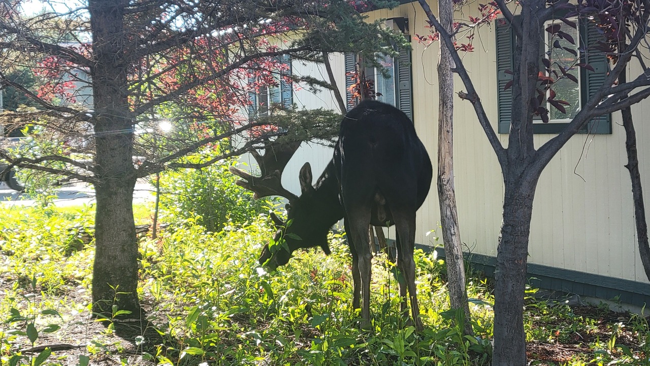 Photo of Outdoor in Pinedale