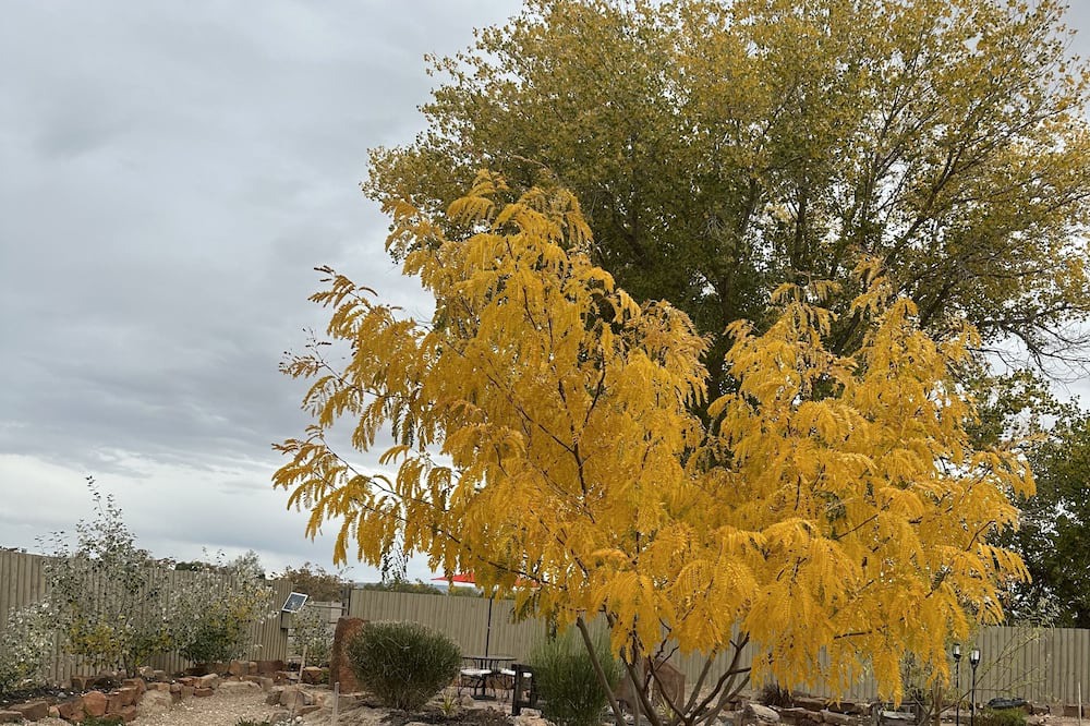 Photo of Outdoor in Espanola