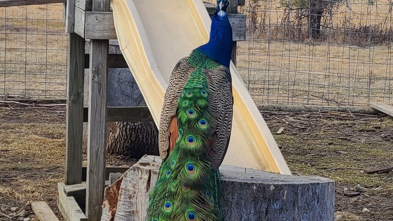 Photo of Outdoor in Homestead