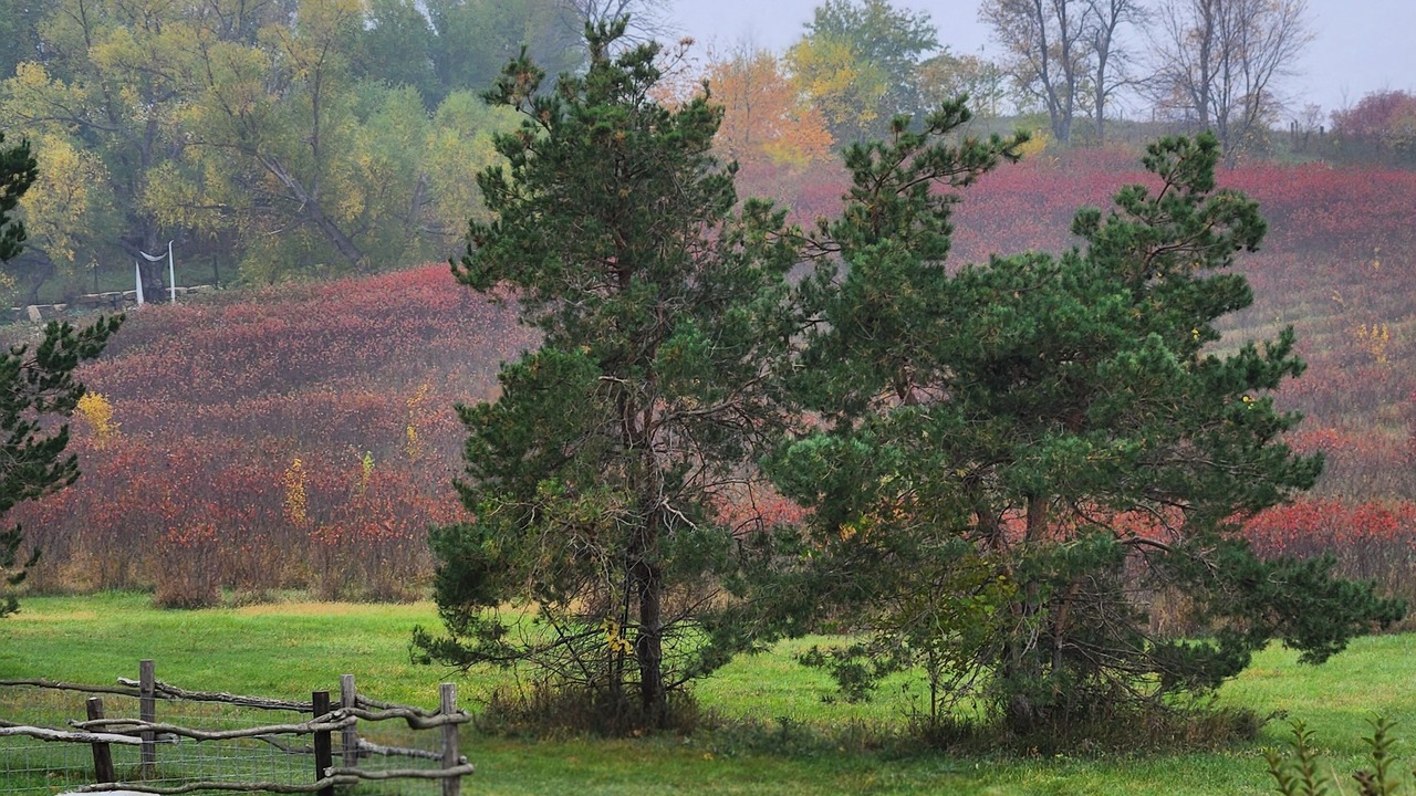 Photo of Outdoor in Homestead