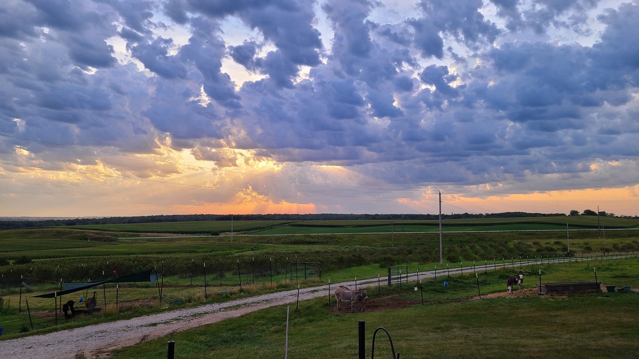 Photo of Outdoor in Homestead