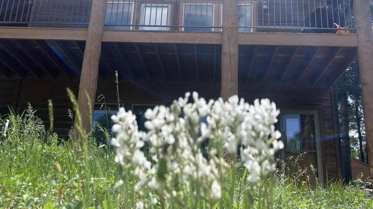 Photo of Outdoor in Fairplay