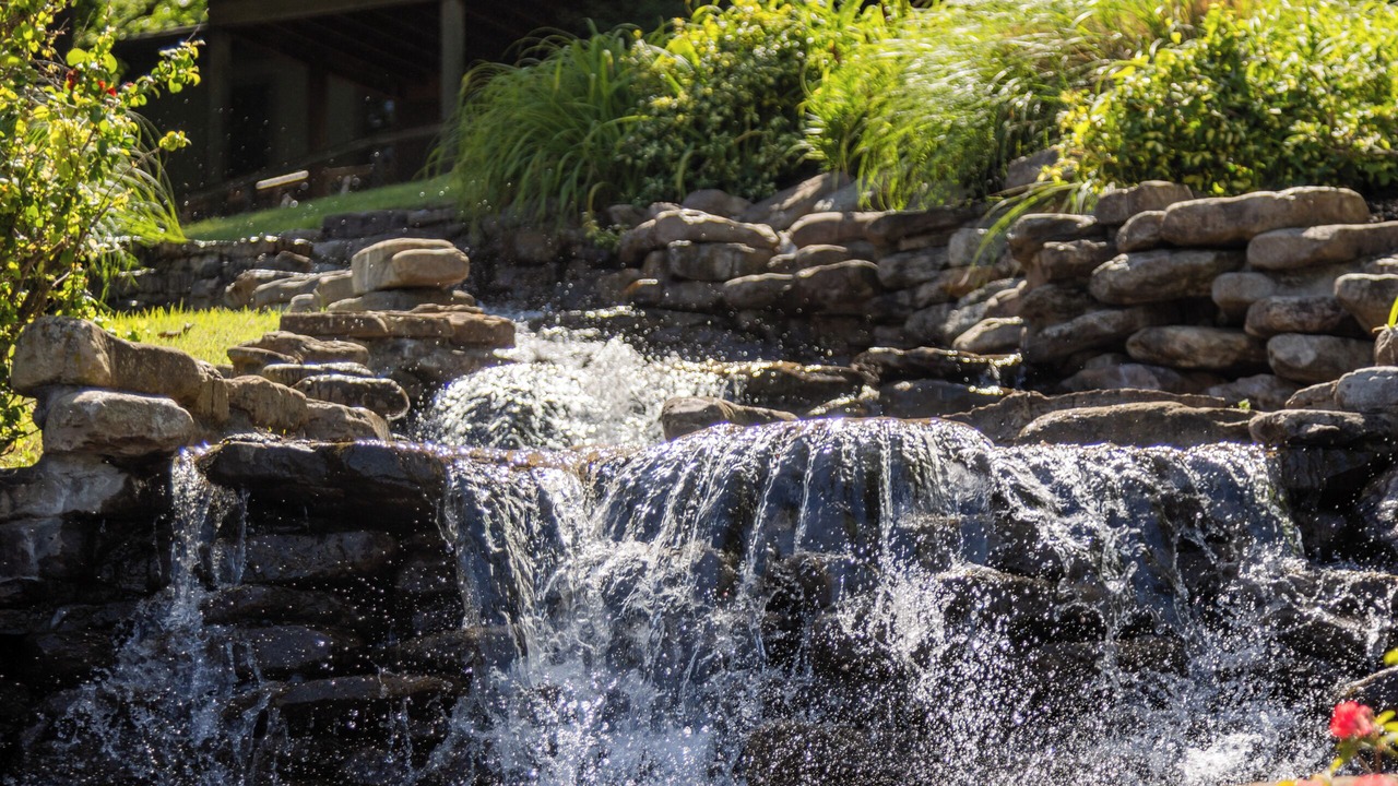 Photo of Outdoor in Bella Vista