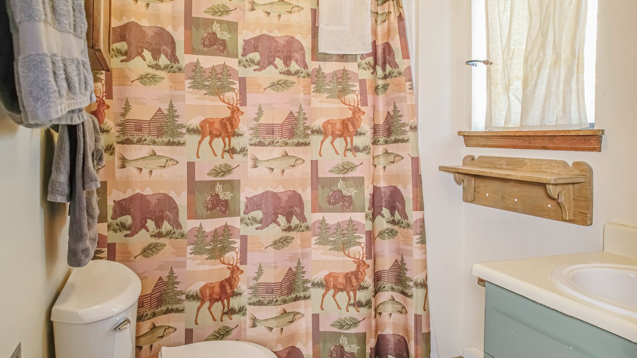 Photo of Bathroom in Estes Park
