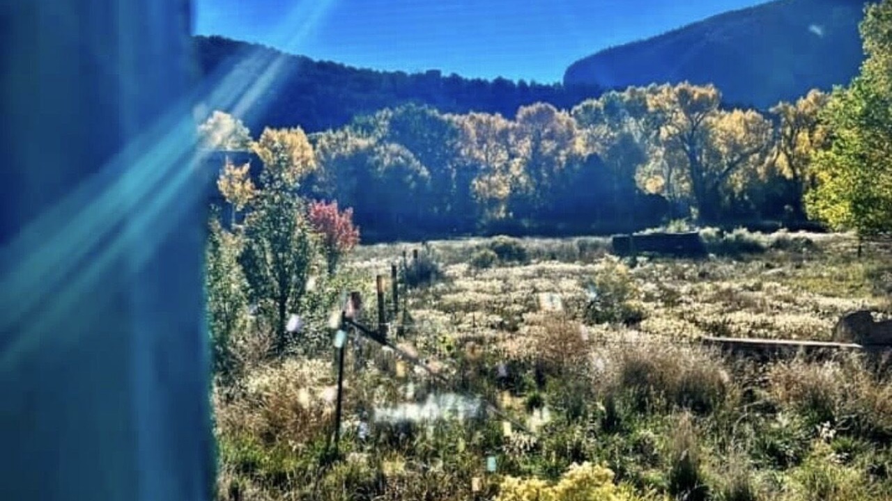 Photo of Others in Questa
