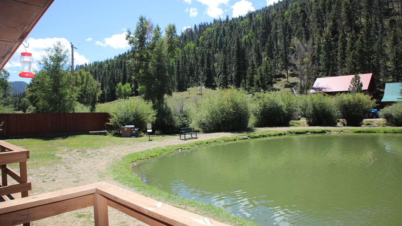 Photo of Others in Red River