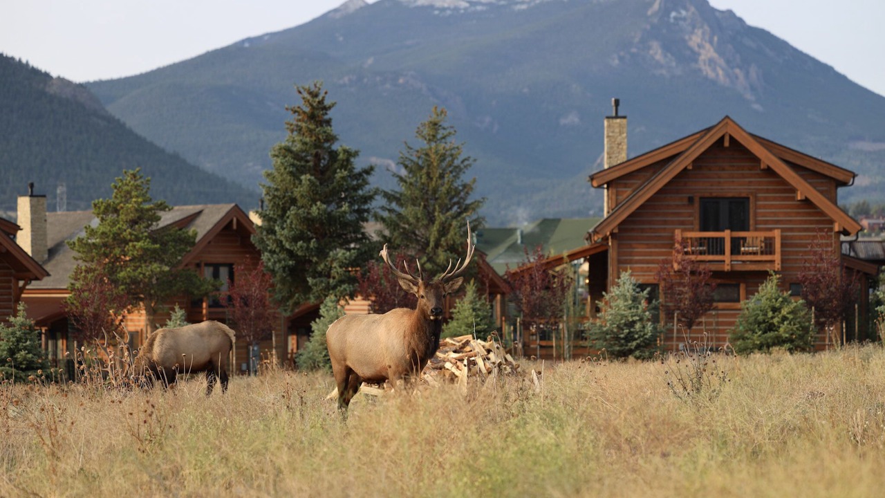 Photo of Others in Estes Park