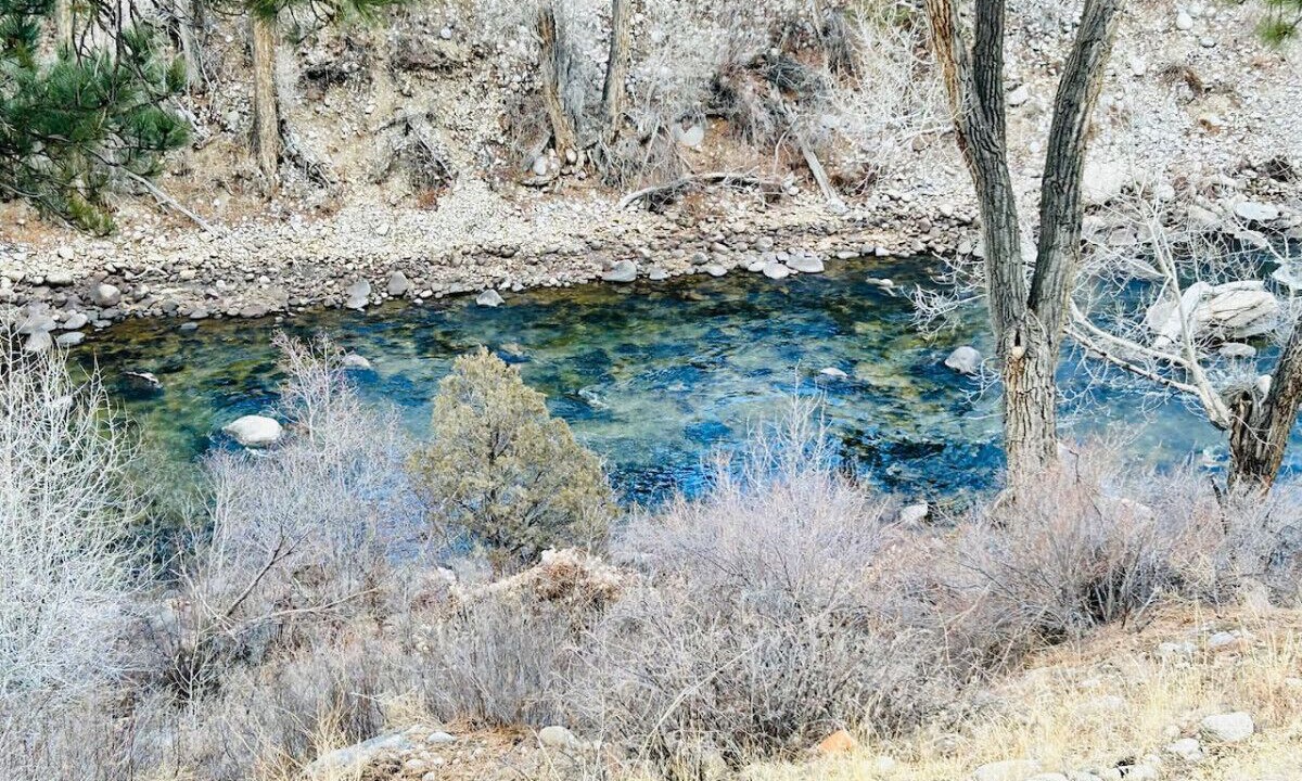 Photo of Others in Buena Vista