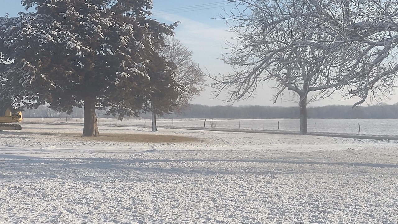 Photo of Outdoor in Pauline