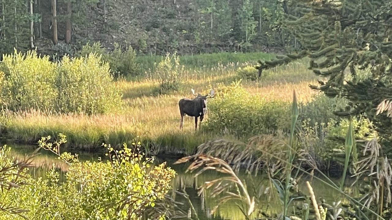 Photo of Outdoor in Idaho Springs