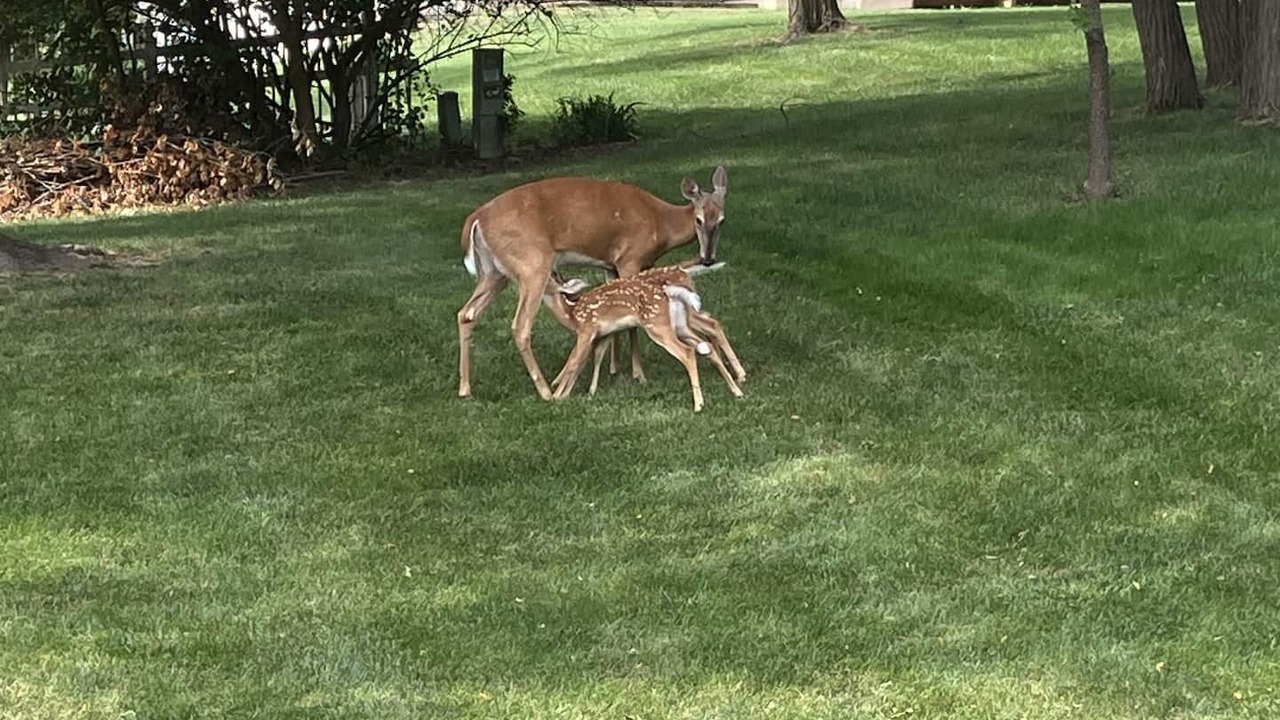Photo of Outdoor in Waldron